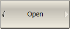 Open Check